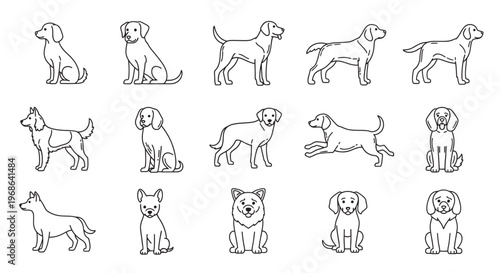Set of cute dogs vector illustration collection