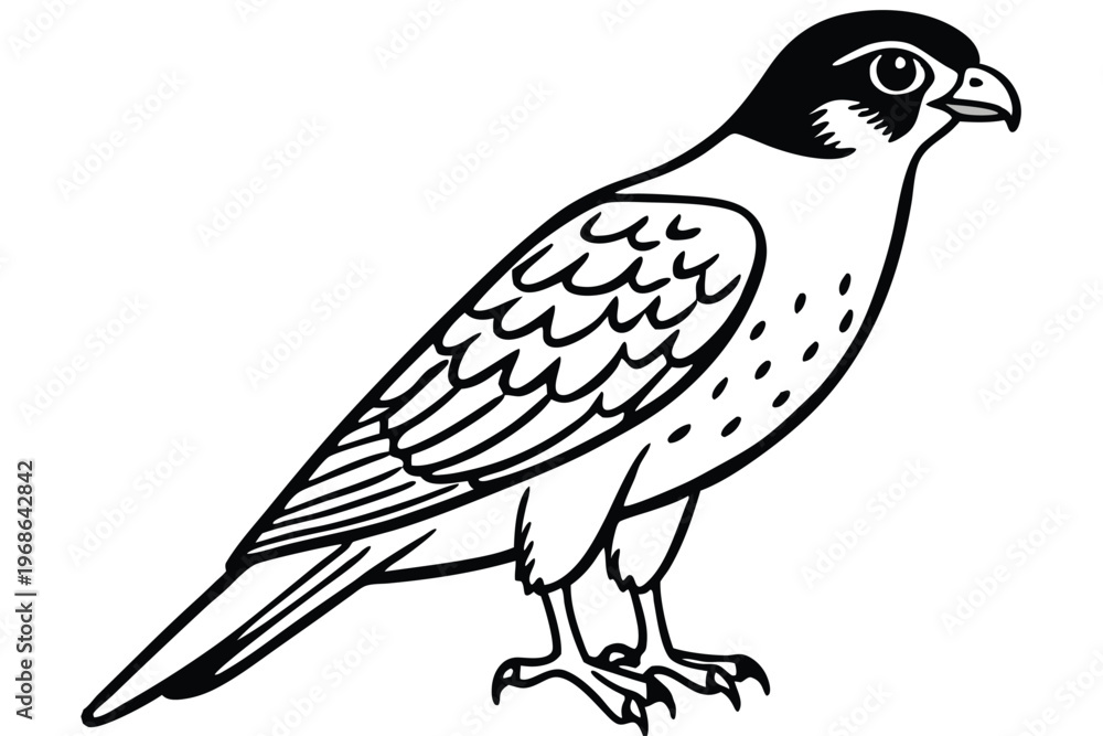 Fototapeta premium merlin bird silhouette line art vector illustration with a white background