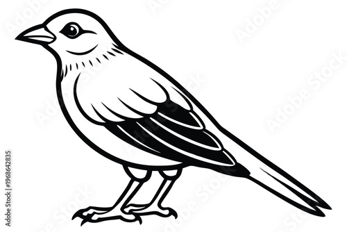 merlin bird silhouette line art vector illustration with a white background
