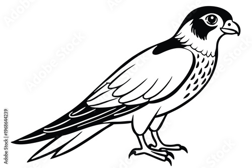 merlin bird silhouette line art vector illustration with a white background