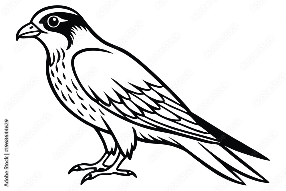 Obraz premium merlin bird silhouette line art vector illustration with a white background