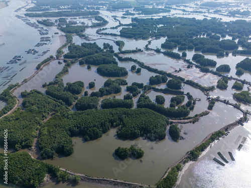 Large body of water is surrounded by trees and islands. The water is murky and there are many boats floating on it. The scene is peaceful and serene, but also somewhat eerie due to the murky water