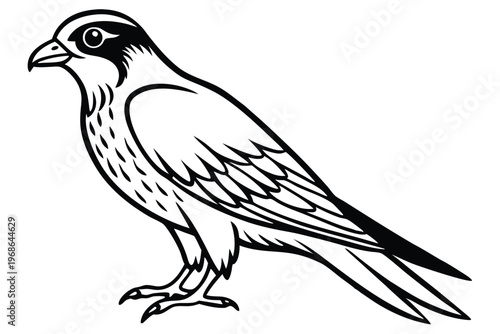 merlin bird silhouette line art vector illustration with a white background