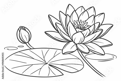 coloring page line art the water lily flower black vector