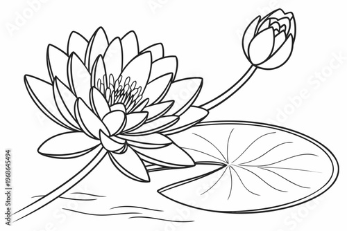 coloring page line art the water lily flower black vector