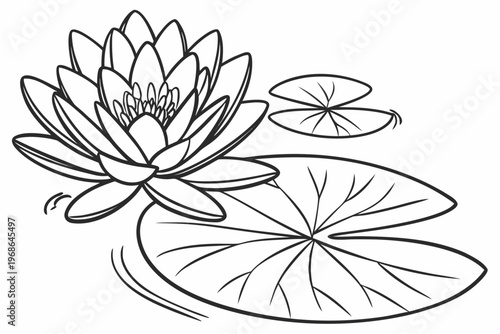coloring page line art the water lily flower black vector