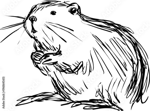 Sketch of a small rodent sitting on its hind legs with detailed whiskers and fur lines
