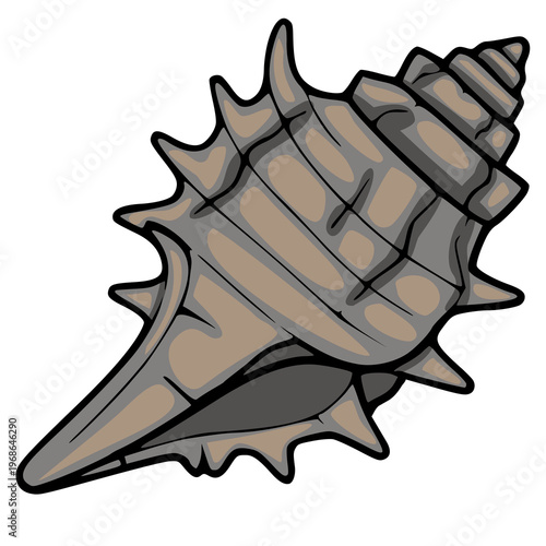 Spiky sea shell vector illustration, detailed marine mollusk shell, isolated on white background