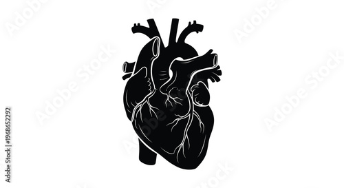 A striking black silhouette of a human heart with detailed vessels and chambers showcasing anatomical form silhouette high quality professional modern