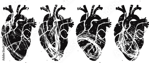 Four detailed human heart illustrations in black and white showing anatomical structure and veins