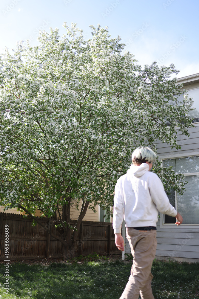 Obraz premium Adult man walking in backyard during spring bloom