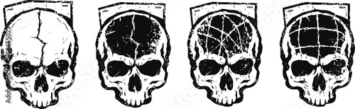 Human skull illustrations showing cranial sutures and divisions for anatomical study