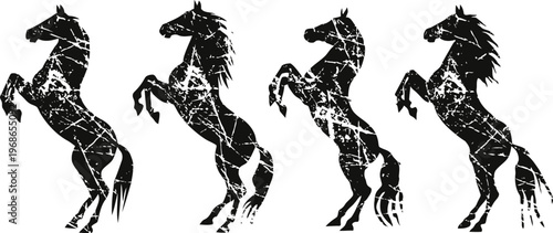 Four rearing horses silhouette with cracked texture, dynamic animal poses in motion illustration