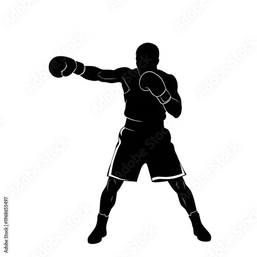 boxer vector