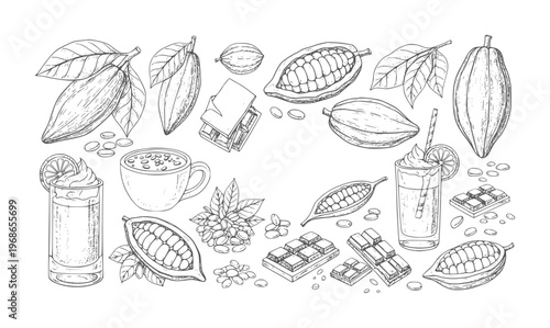 Hand drawn cocoa beans chocolate bars and drinks with leaves fruit