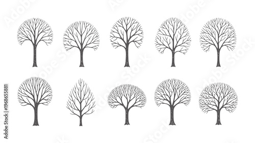 Ten bare winter trees with intricate branch patterns white branches
