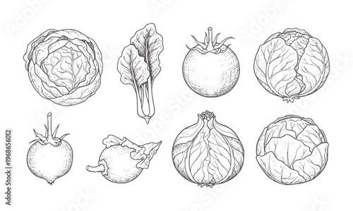 Vintage of assorted vegetables including cabbage tomato onion and greens lettuce