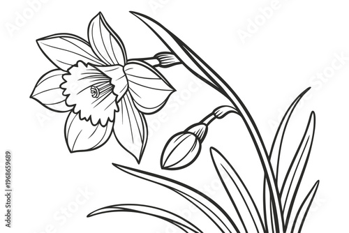 coloring page line art the yellow bell flower black vector