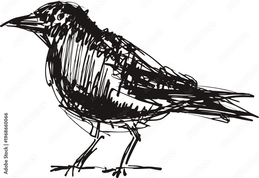 Naklejka premium Hand drawn black crow bird sketch, detailed side view ink illustration on white background