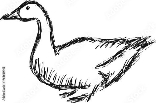 Sketch of a duck standing sideways with simple black ink strokes on white background