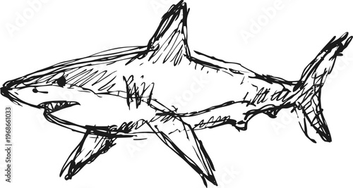Hand drawn sketch of a great white shark swimming in ocean waters, black ink illustration