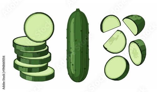 Vertical cucumber icon set fresh vegetable vector illus