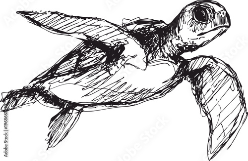 Hand drawn sea turtle sketch swimming gracefully with detailed shell and flippers in black ink illustration