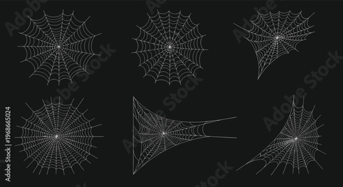 Collection of six different delicate white spider webs on a dark black background for halloween or gothic themed designs.