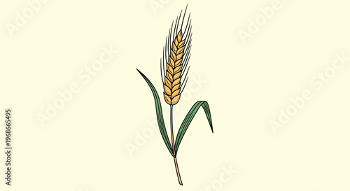 Detailed botanical illustration of a single golden wheat stalk with green leaves isolated on a plain yellow background.