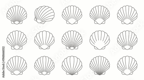 Collection of line art scallop shell icons in various orientations and perspectives, showcasing different views of the marine bivalve.