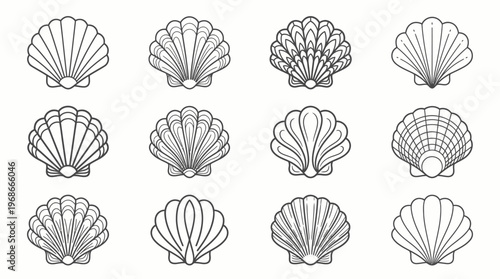 A collection of twelve distinct black and white line art illustrations of scallop shells with various intricate patterns and designs, showcasing marine diversity.