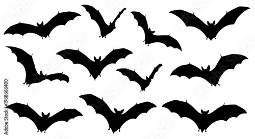 Bats flying set with black silhouettes in various positions and sizes, against a white background for halloween or nocturnal themes.