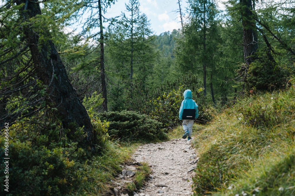 Fototapeta premium Narrow rocky trail in green mountain pine forest with distant child. Happy family hiking holiday and active outdoor travel concept.