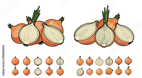 Collection of fresh yellow onions including whole bulbs, halves, and smaller icons showing various cutting styles.