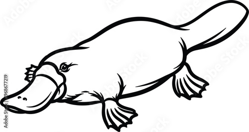 Vector Design of a Platypus, Black and White Illustration for Wildlife and Animal Lovers