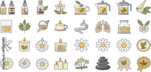 Chamomile Herbal Wellness Icon Set Featuring Essential Oils, Tea Cups, Candles, Natural Remedies, Aromatherapy Elements and Botanical Health Care Illustrations