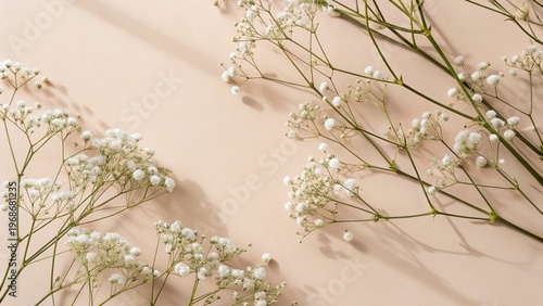 Colored background and white flowers.