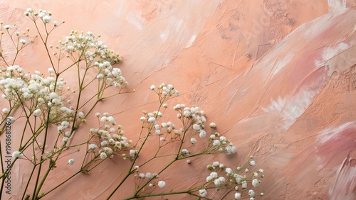 Colored background and white flowers.