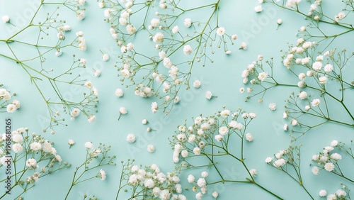 Colored background and white flowers.