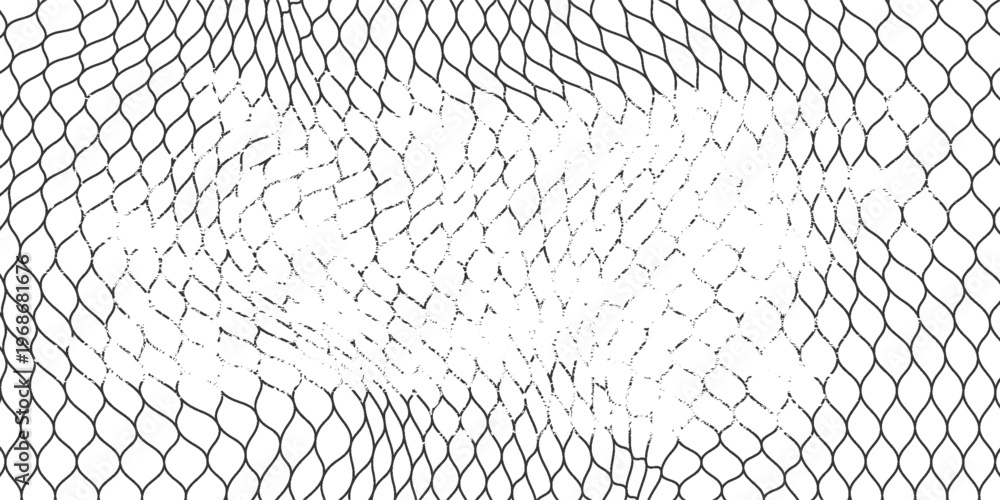 Foto Black snake skin pattern isolated on white background eps 10