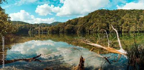 Tableau sur toile Panoramic View of Crystal Clear Turquoise Lake with Sunken Trees at Plitvice Lak