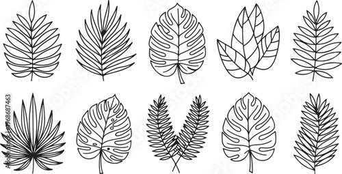 Variations of leaf designs with different vein patterns and shapes Vector