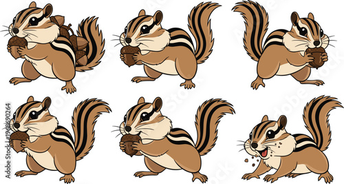 Chipmunk Vector Set Featuring Fun Animal Behavior, Nut Gathering, and Playful Actions in Nature