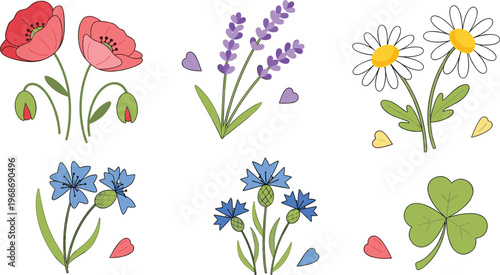 Cute hand drawn wildflowers vector set featuring poppy lavender daisy cornflower and clover botanical floral elements isolated on white background