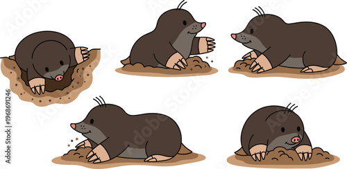 Mole Animal Behavior Vector Set Showing Digging, Burrowing, and Playful Moles in the Soil for Wildlife and Nature Illustrations