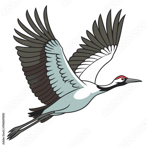 A gracefully illustrated whooping crane soars through the air displaying its expansive wings and distinctive red crown high quality professional