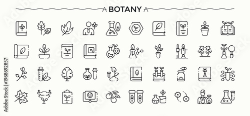 Botany vector icon set. Ecology icon set. Perfect for logos and infographic. Related to ecology, organic, nature, plant, geo and more. Editable stroke. Vector illustration.