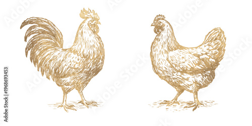 Elegant golden rooster and hens set in vintage engraving style. Hand drawn farm poultry illustrations, perfect for organic food packaging, premium branding and rustic design