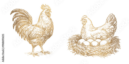 Elegant golden rooster and hens set in vintage engraving style. Hand drawn farm poultry illustrations, perfect for organic food packaging, premium branding and rustic design