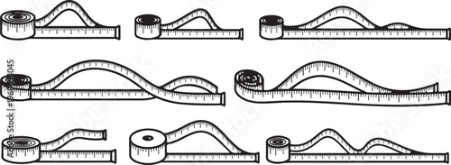 Illustrations of various animal skulls from a lateral perspective Vector